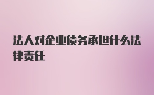 法人对企业债务承担什么法律责任