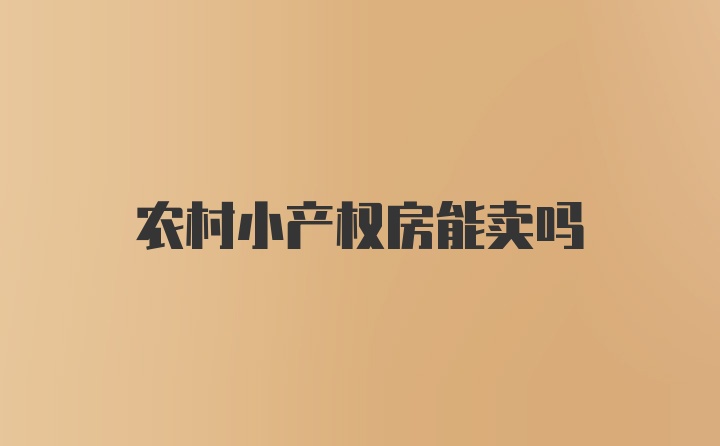 农村小产权房能卖吗