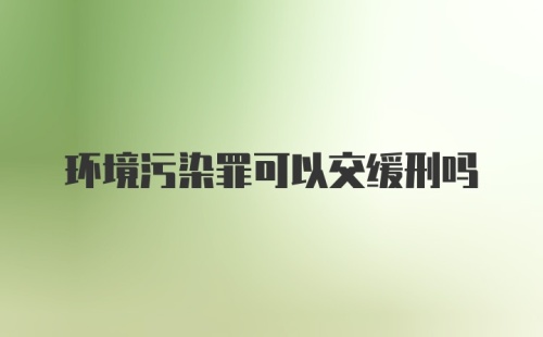 环境污染罪可以交缓刑吗