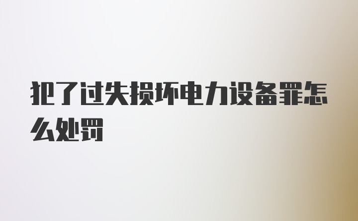 犯了过失损坏电力设备罪怎么处罚