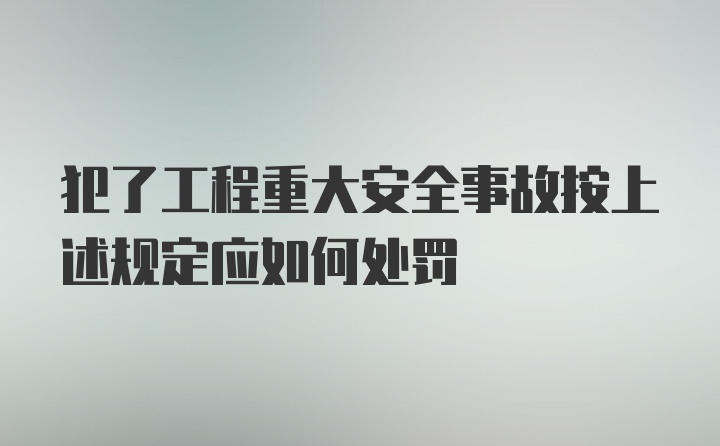 犯了工程重大安全事故按上述规定应如何处罚