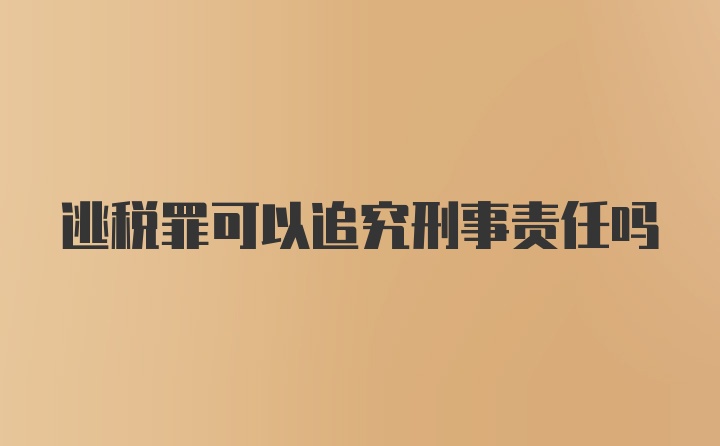 逃税罪可以追究刑事责任吗