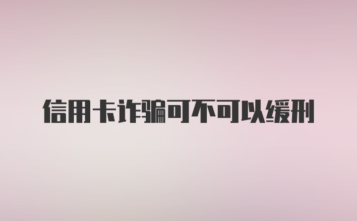 信用卡诈骗可不可以缓刑