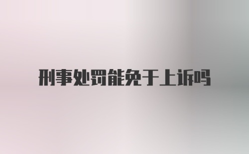 刑事处罚能免于上诉吗