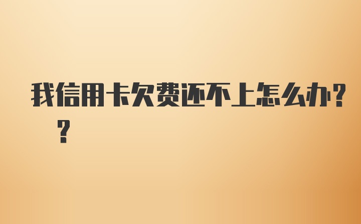 我信用卡欠费还不上怎么办? ?