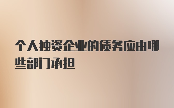 个人独资企业的债务应由哪些部门承担