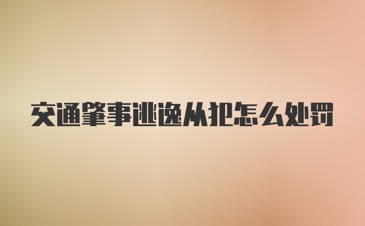 交通肇事逃逸从犯怎么处罚