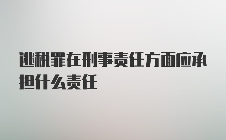 逃税罪在刑事责任方面应承担什么责任