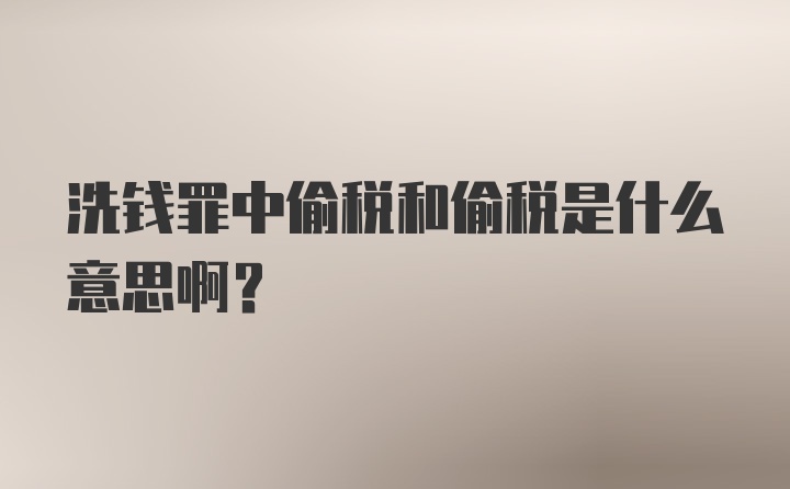 洗钱罪中偷税和偷税是什么意思啊？