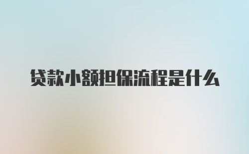 贷款小额担保流程是什么