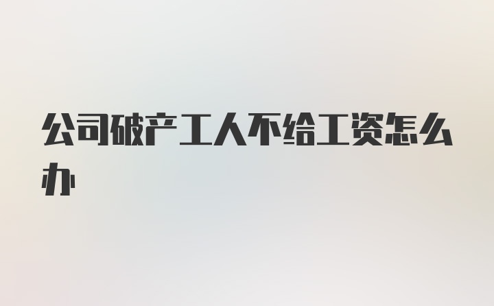 公司破产工人不给工资怎么办