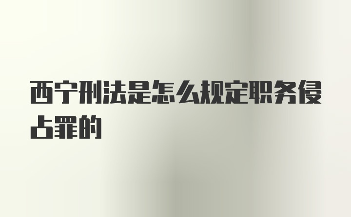 西宁刑法是怎么规定职务侵占罪的