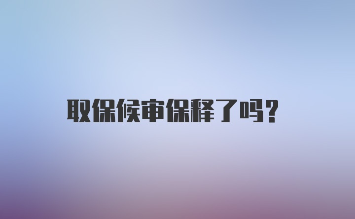 取保候审保释了吗？