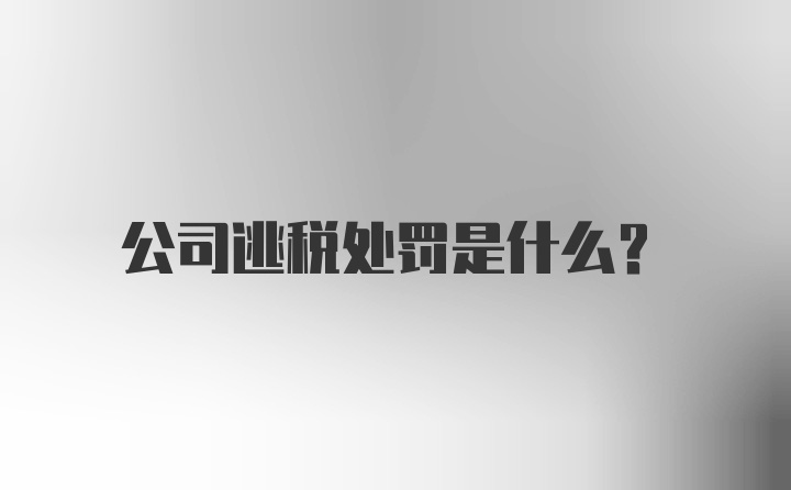 公司逃税处罚是什么？