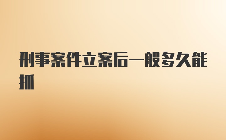 刑事案件立案后一般多久能抓