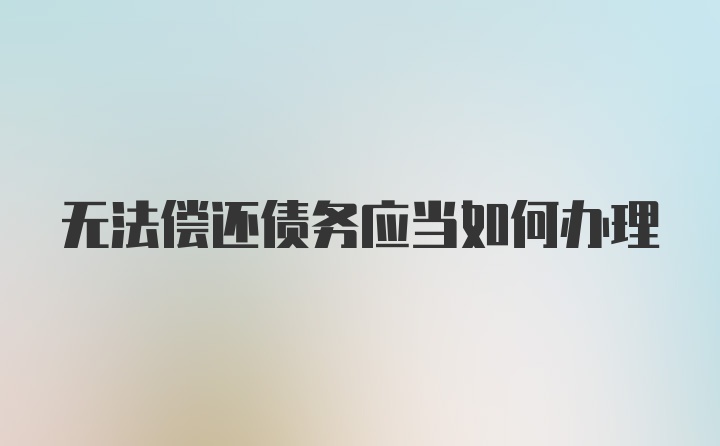 无法偿还债务应当如何办理