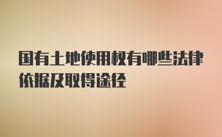 国有土地使用权有哪些法律依据及取得途径