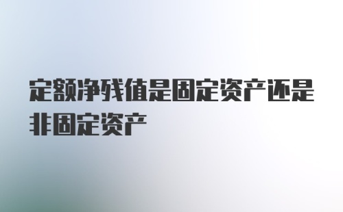 定额净残值是固定资产还是非固定资产