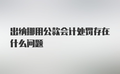 出纳挪用公款会计处罚存在什么问题