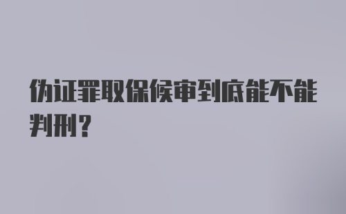 伪证罪取保候审到底能不能判刑？