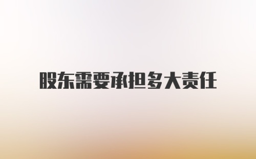 股东需要承担多大责任