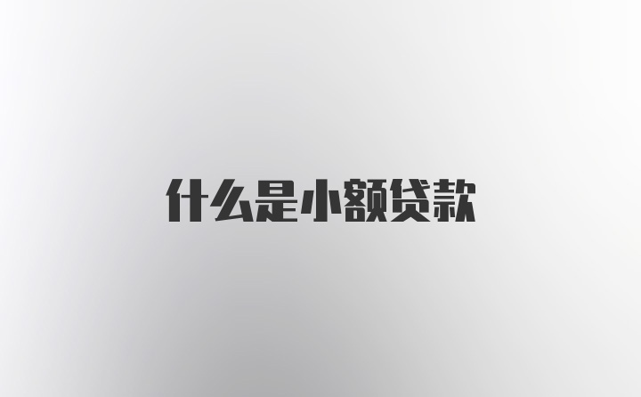 什么是小额贷款