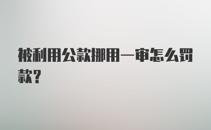 被利用公款挪用一审怎么罚款？