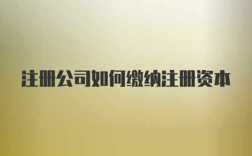 注册公司如何缴纳注册资本