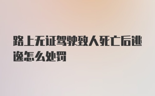 路上无证驾驶致人死亡后逃逸怎么处罚