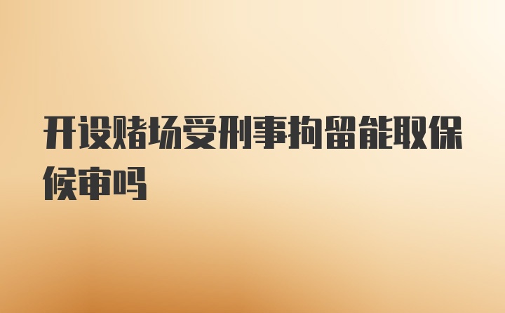 开设赌场受刑事拘留能取保候审吗