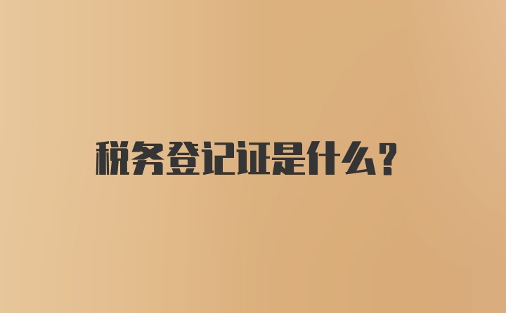 税务登记证是什么？