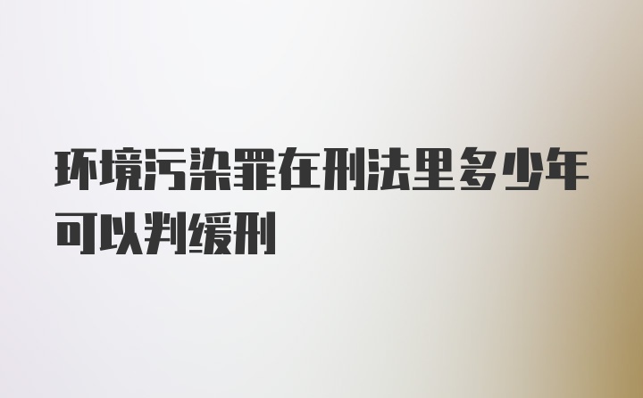 环境污染罪在刑法里多少年可以判缓刑