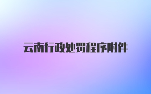 云南行政处罚程序附件