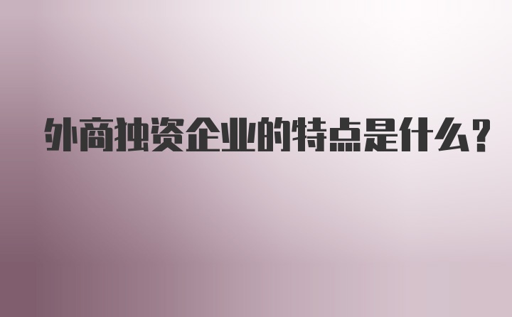 外商独资企业的特点是什么？