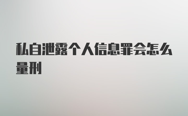 私自泄露个人信息罪会怎么量刑