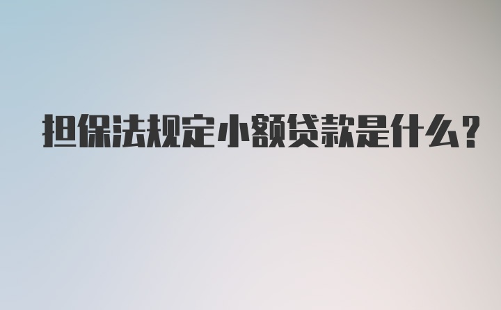 担保法规定小额贷款是什么？