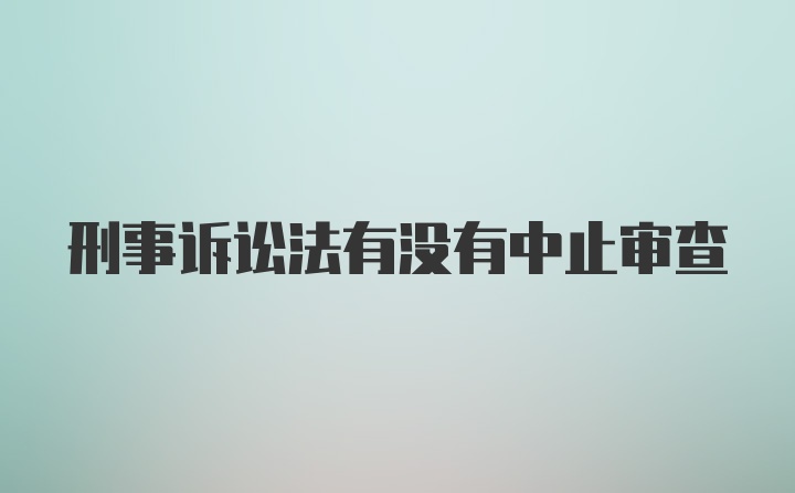 刑事诉讼法有没有中止审查