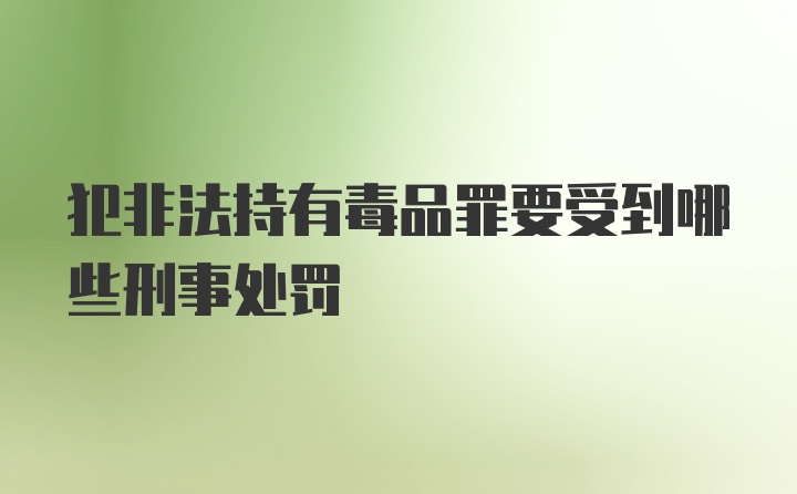 犯非法持有毒品罪要受到哪些刑事处罚