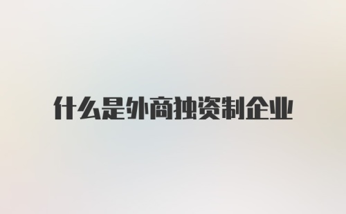 什么是外商独资制企业