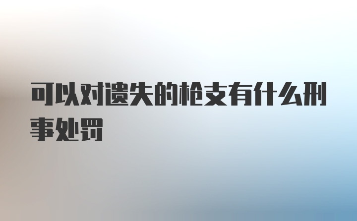 可以对遗失的枪支有什么刑事处罚