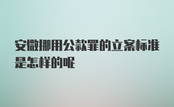 安微挪用公款罪的立案标准是怎样的呢