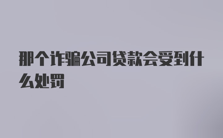 那个诈骗公司贷款会受到什么处罚