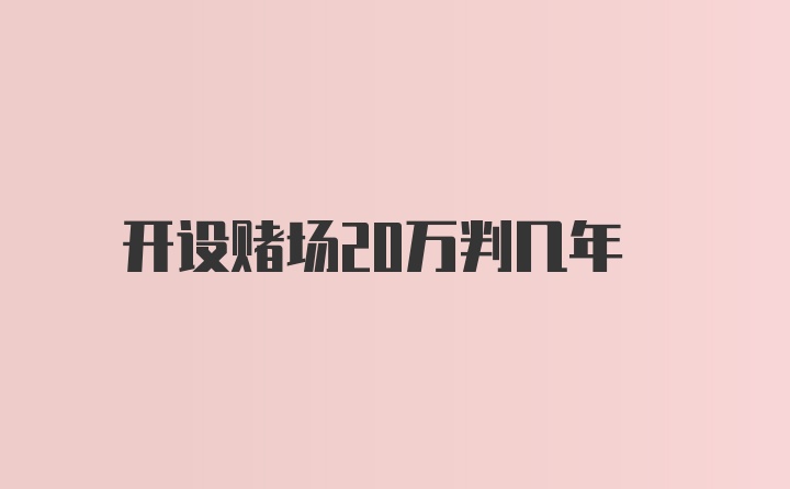 开设赌场20万判几年