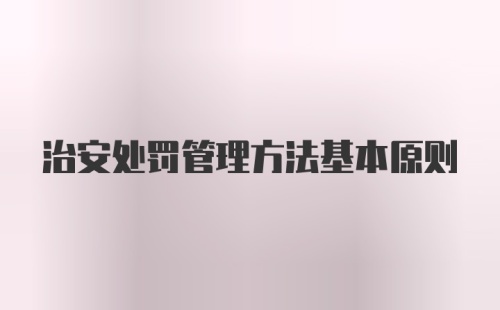 治安处罚管理方法基本原则