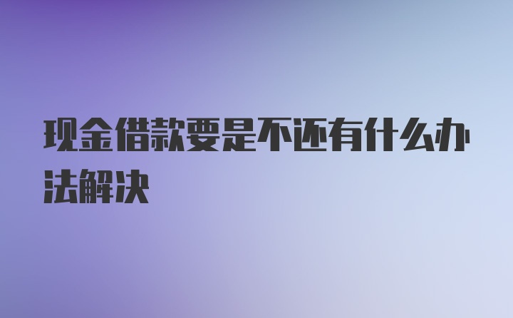 现金借款要是不还有什么办法解决