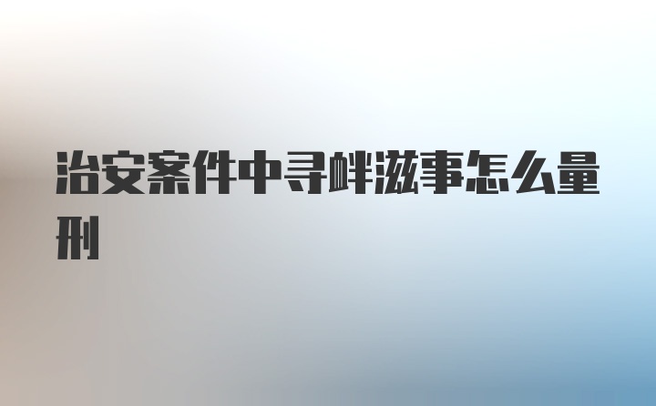 治安案件中寻衅滋事怎么量刑