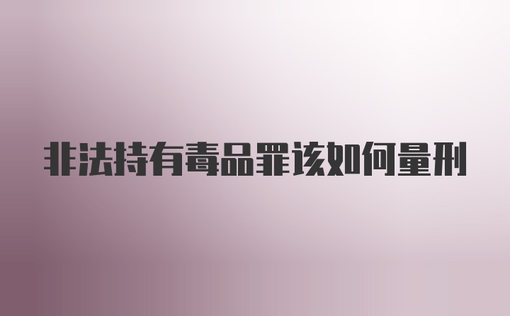 非法持有毒品罪该如何量刑