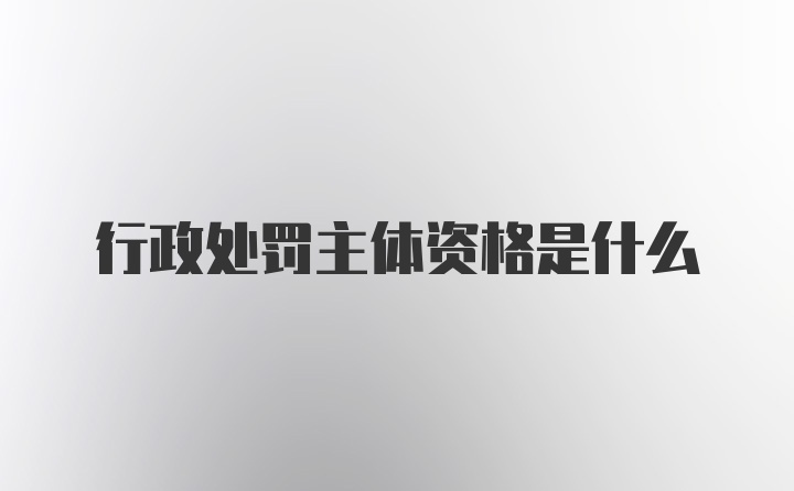 行政处罚主体资格是什么