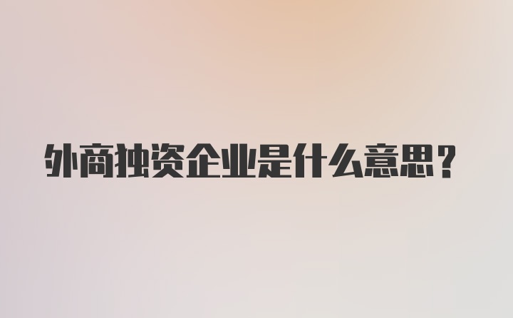 外商独资企业是什么意思？