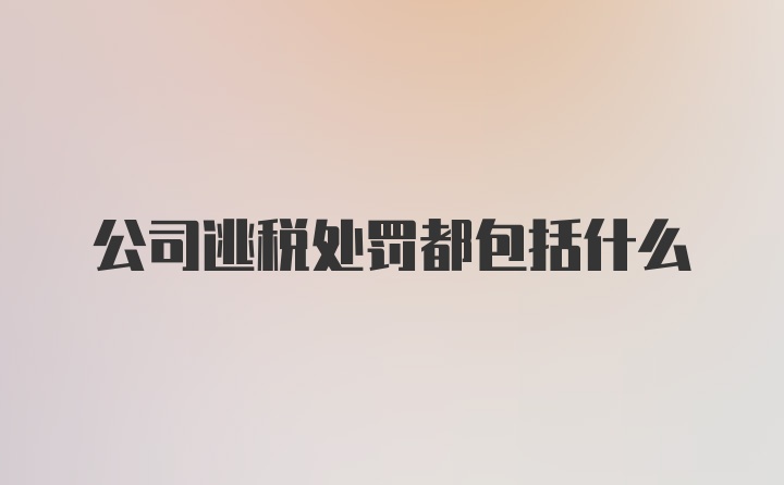 公司逃税处罚都包括什么